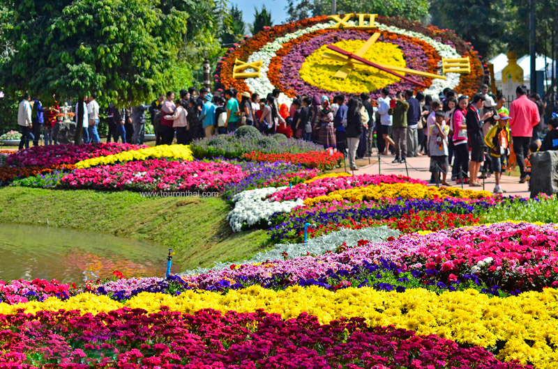 Chiang Rai flower festival